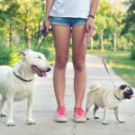 Dog Walking